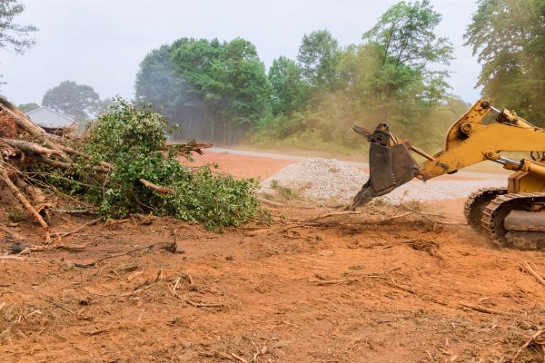 Ground Clearing in Lubbock