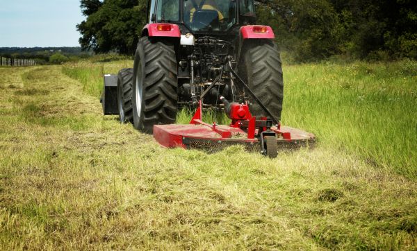 Brush Clearing Service in Lubbock
