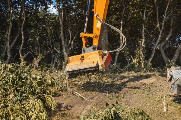 Brush Removal Service in Lubbock