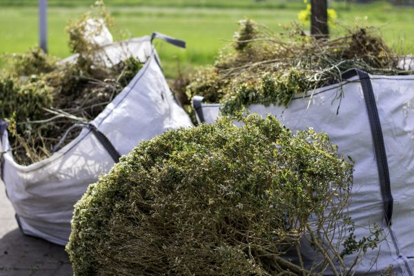 Cost of Bushes Clearing in Lubbock