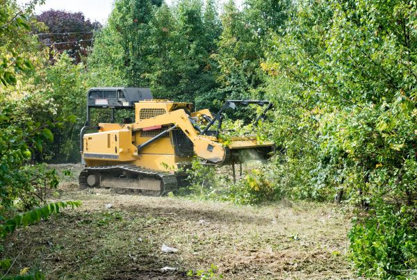 Cost of Pathway Clearing in Lubbock