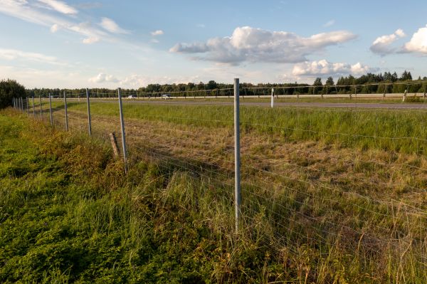 Cost of Property Line Clearing in Lubbock