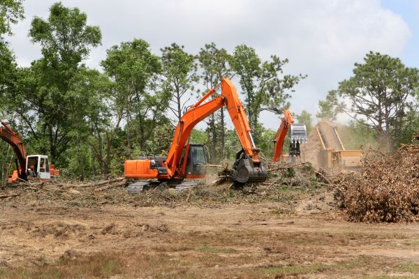 Cost of Commercial Lot Clearing in Lubbock