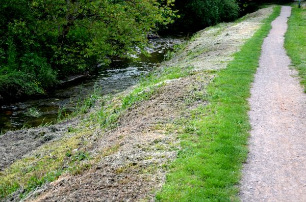 Cost of Trail Cutting in Lubbock