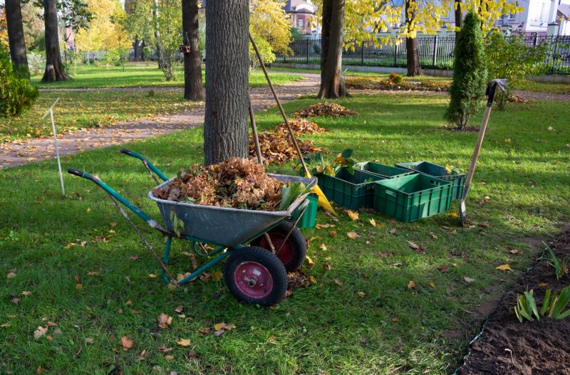 Vegetation Removal During Fall